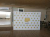Х-банер Standart 300x200 см Павук